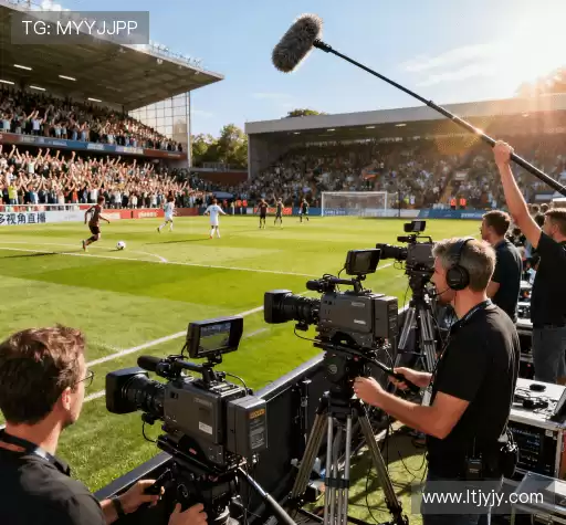 行业领先的理由